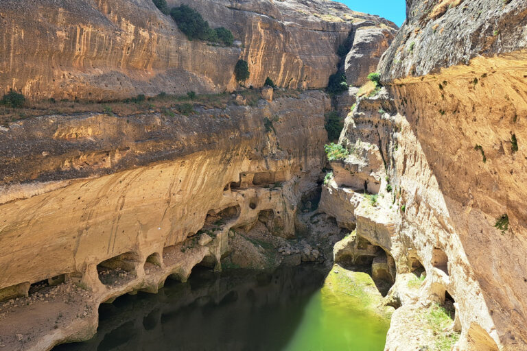 Unter Wasser: Beginn unserer Sesshaftigkeit